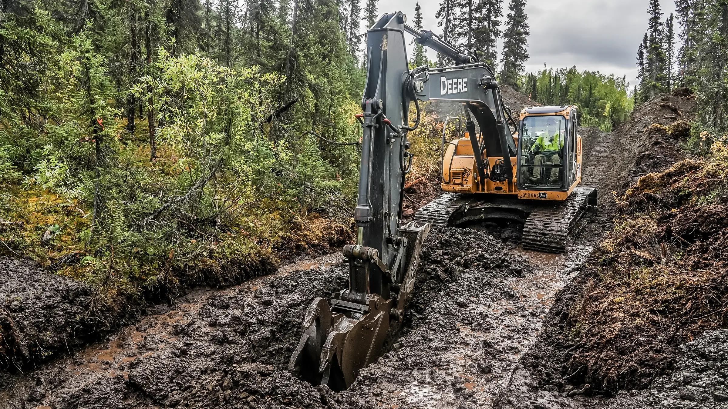 A trackhoe digs a trench in the forest.